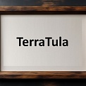 Зима без снега: снегоуборочная техника - новости TerraTula